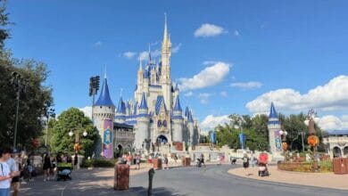 Cinderella Castle at Magic Kingdom getting its November transformation.