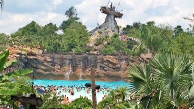A rare view of the Disney Typhoon Lagoon surf pool with Mount Mayday in the background.